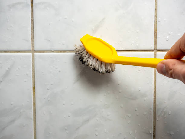 Best Mold Testing  in Camdenton, MO