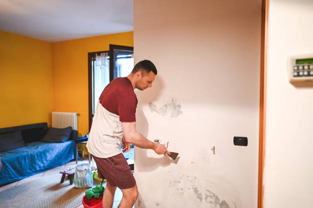 Best Mold Damage Repair  in Camdenton, MO